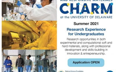 CHARM Summer 2021 MRSEC REU Applications Closed