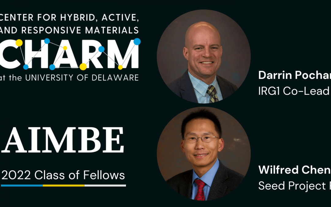 Darrin Pochan and Wilfred Chen join 2022 AIMBE Class of Fellows