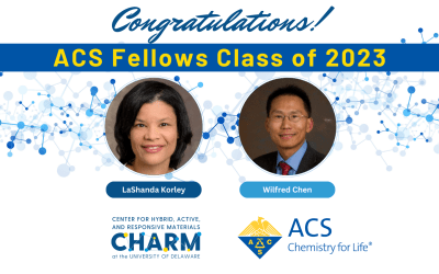 Congratulations to the ACS Fellows Class of 2023!