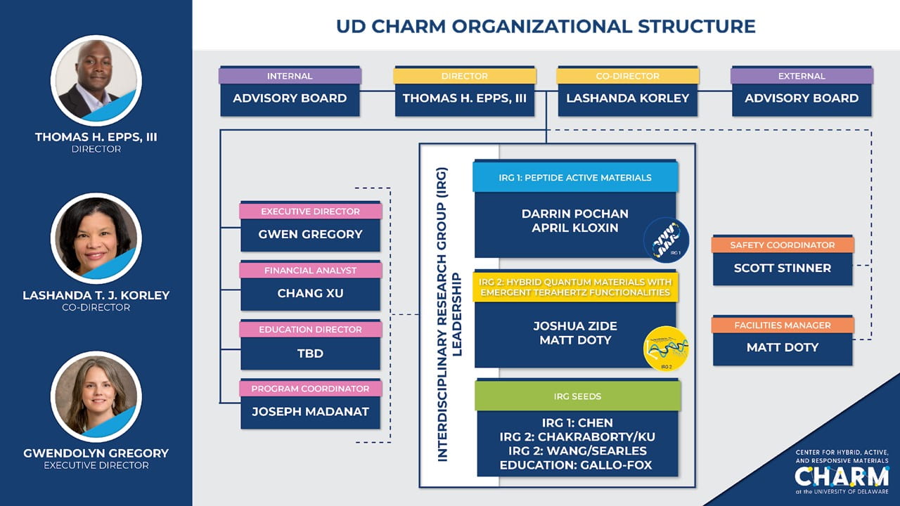 Organizational chart outlining the hierarchy of the Center and its staff.
